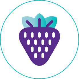 Icon of a strawberry