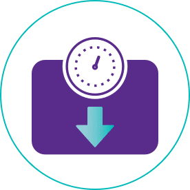 Scale Icon